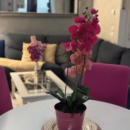 Jak Apartman Apartment